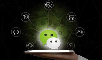 騰訊是如何成長(zhǎng)為一家大公司的